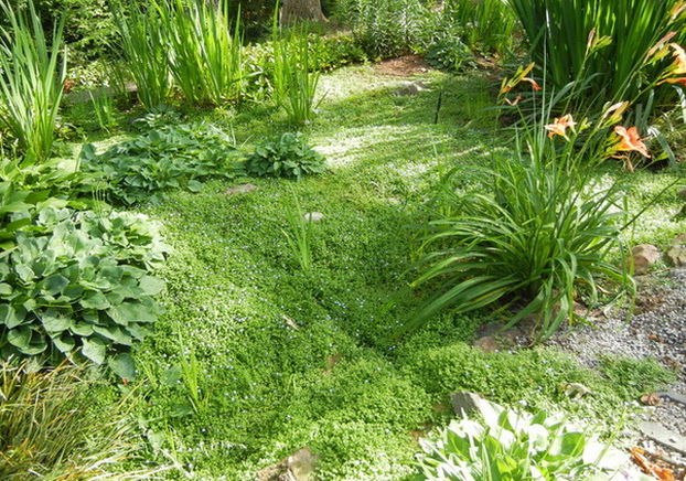 Soak It Up: How to Manage Stormwater in Your Landscape – Incledon ...